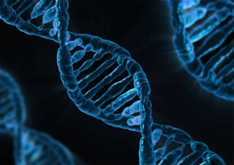 Future peptide